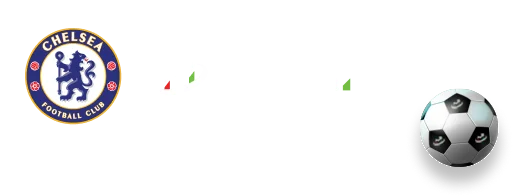TMGM外汇公司 中国官方网站